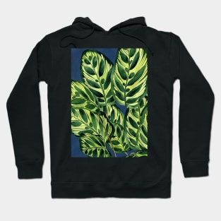 Modern Plant Illustration 1 Hoodie